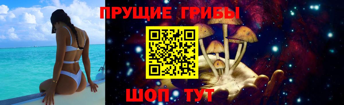 Чайковский  Галлюциногенные грибы мицелий  Вход с VPN 